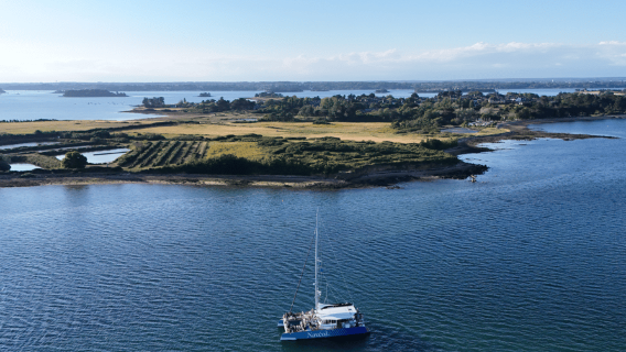 Departure from Arzon Port Navalo, brunch-time cruise tour