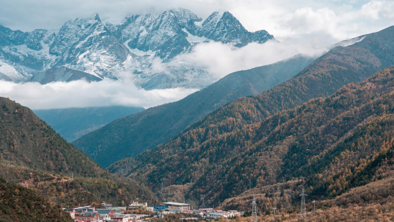 Chengdu ida y vuelta: excursión de un día a Dujiangyan + Valle de los Pandas + Montaña Qingcheng/opción de guía multilingüe