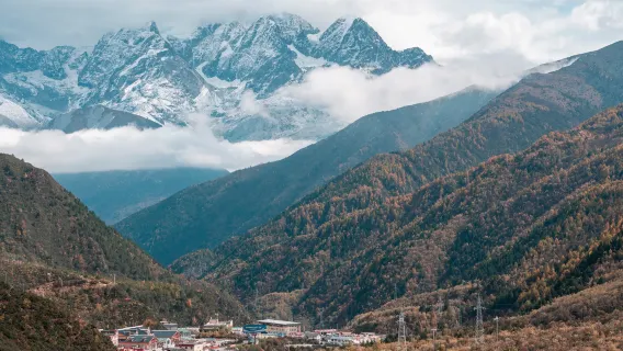 Chengdu ida y vuelta: excursión de un día a Dujiangyan + Valle de los Pandas + Montaña Qingcheng/opción de guía multilingüe