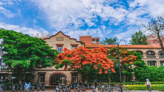 Excursión de un día en el teleférico Zhonggu, la Universidad de Xiamen y el Templo Nanputuo [Tour privado clásico|Incluye comidas en la Universidad de Xiamen
