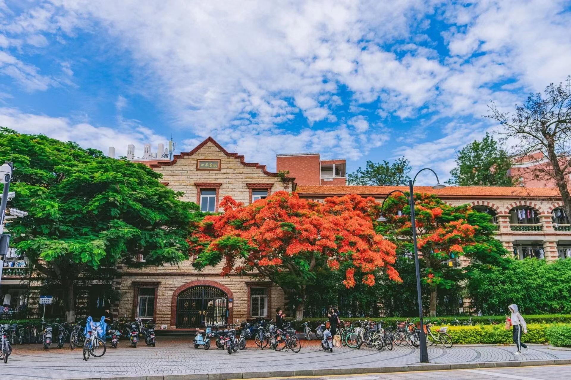Tagesausflug mit Seilbahn Zhonggu, Besuch der Xiamen-Universität und Shapowei [Klassische Route Privattour]|Inklusive Mahlzeiten]