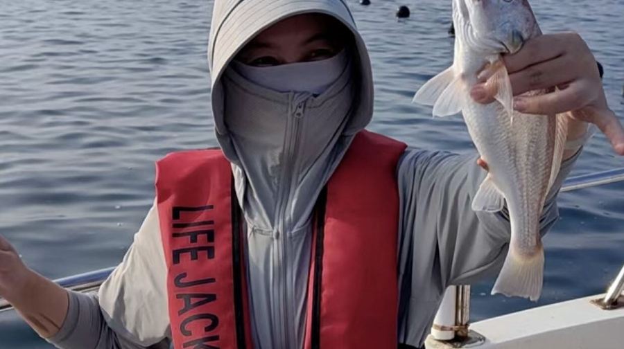 山東煙台芝罘島出海海釣體驗/漁民體驗【海釣3小時/可免費加工/含魚竿魚餌/多種船型可選/包船聚會團建】