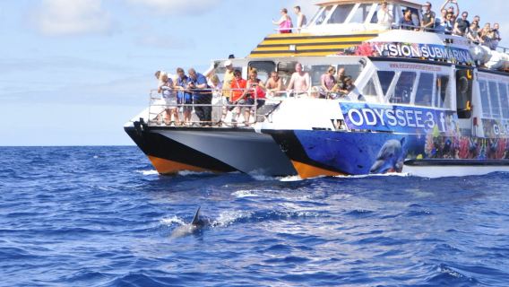 Morro Jable: Paseo en barco con fondo de cristal + Almuerzo