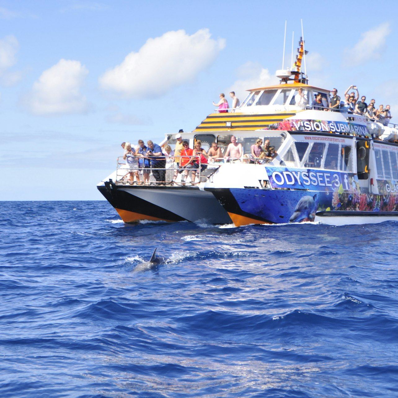 Morro Jable: Glass-Bottom Boat Tour + Lunch