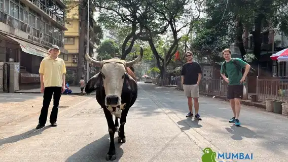 Mumbai City Tour with Guide and Transport