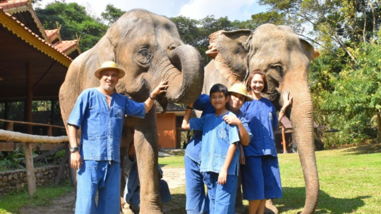 อุทยานกระดาษมูลช้างเชียงใหม่ (Elephant POOPOOPAPER Park Chiang Mai)
