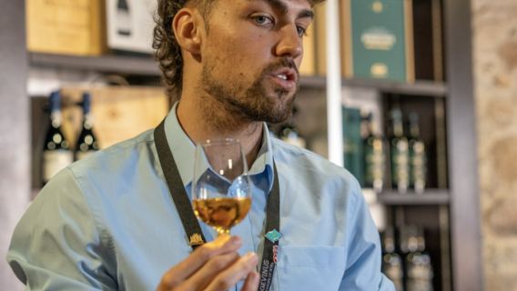 Porto City Tour Half-Day: Guided Visit with Wine Cellar and Tastings