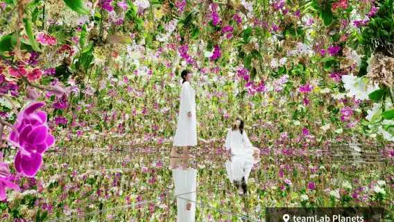 Tokyo City Pass (3-day)|3-Day Subway Ticket & Landmark Ticket & merchandise Attractions Pass