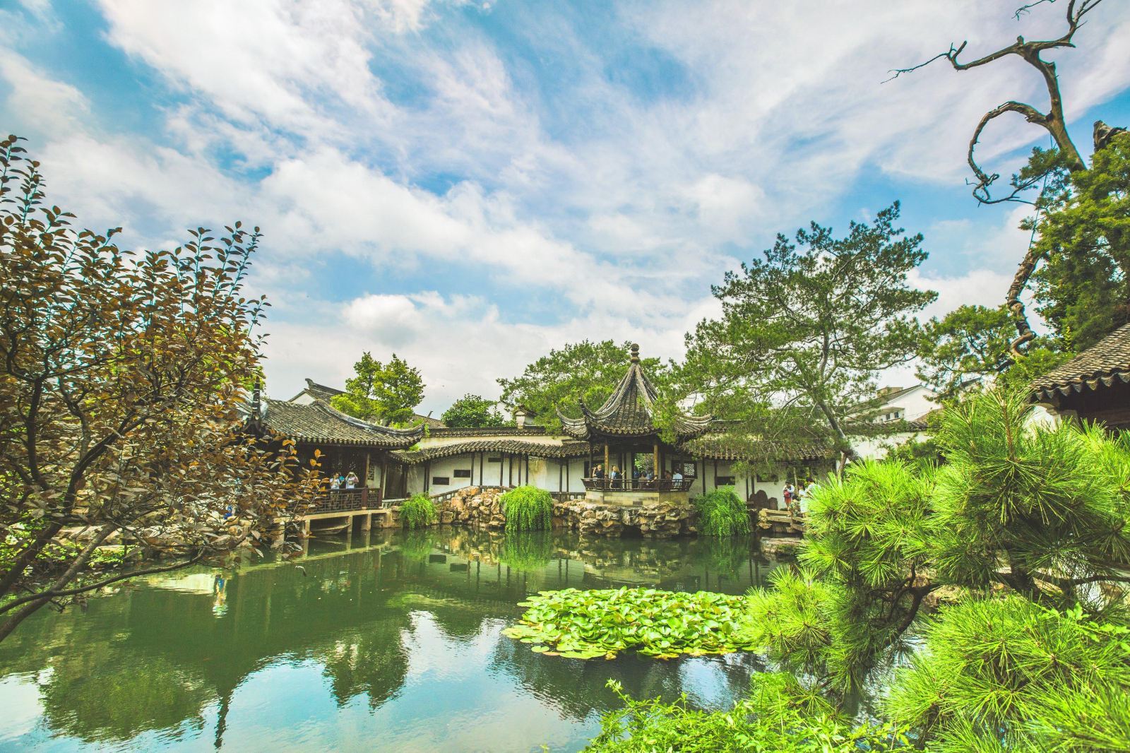 [Suzhou in Detail] 1.5-3H Exclusive In-Depth Live Guide at Humble Administrator's Garden (Zhuozheng Garden)
