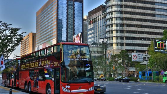 Seoul City Tour Bus Night View Course