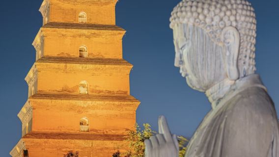 Dạo bộ dưới trăng thời nhà Đường tại Tây An - Chùa Đại Nhạn+Grand Tang Mall+Biểu diễn múa và tiệc