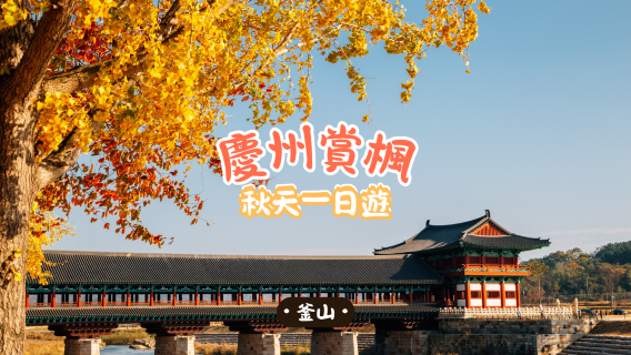慶州日遊
