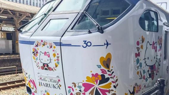 大阪新幹線新大阪站一日｜可選拼車或包車｜飯店上門接駁｜不含車