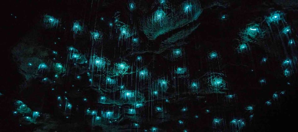 로토루아: 호비튼과 와이토모를 거쳐 오클랜드로 편도 여행