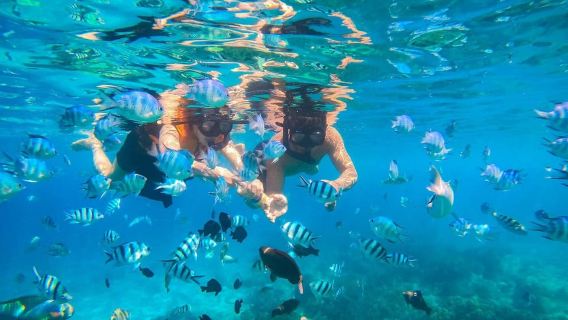Nha Trang: Hon Mun Island Marine Park Snorkeling & Mud Bath