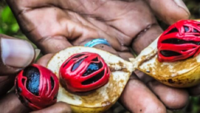 ZANZIBAR: Stone Town & Spice Farm Tour with Expert Guide