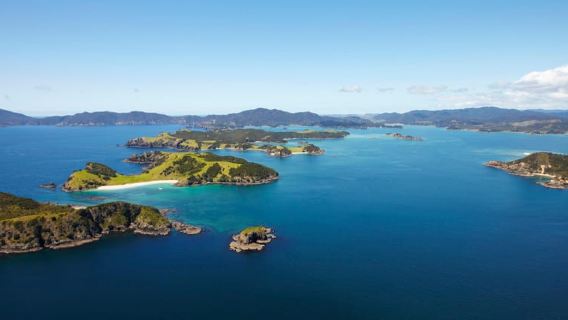 From Paihia: Scenic Cruise with Roberton Island Stopover