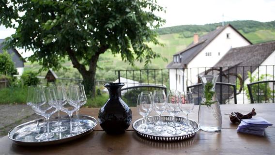 Reil, Mosel: Geführte Bioweinprobe und Kellerführung