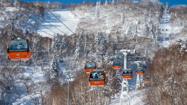 北海道 札幌國際滑雪場 1日纜車票+來回巴士票(札幌市內 出發/返回) 丨一站式滑雪,日歸超便利