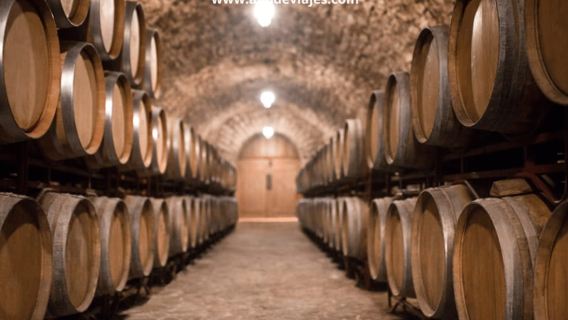 Madrid: Tour Private Wine Tasting, Tapas route & Toledo