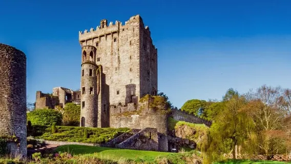 Escursione di mezza giornata al castello di Blarney e Kinsale da Cork