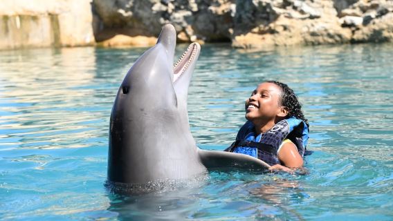 Nuotata con i delfini all'Ocean World di Puerto Plata