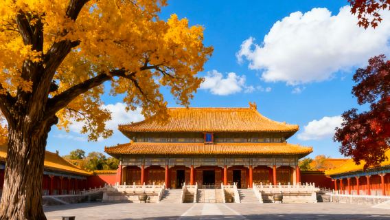 The Palace Museum + Mutianyu Great Wall 1-day tour [Climb the Great Wall and enjoy the scenery]
