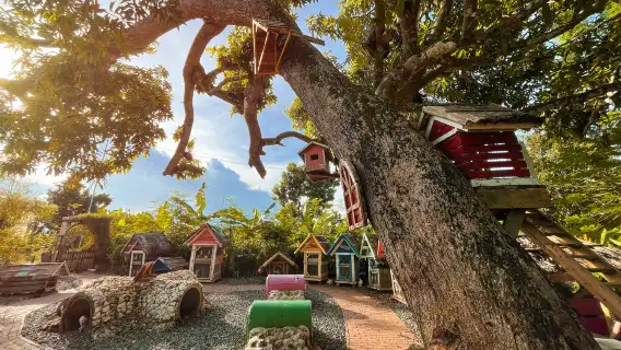 South Farm Panglao Day Use