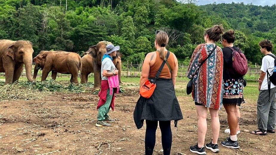 Half Day Morning Visit to Elephant Nature Park Sanctuary