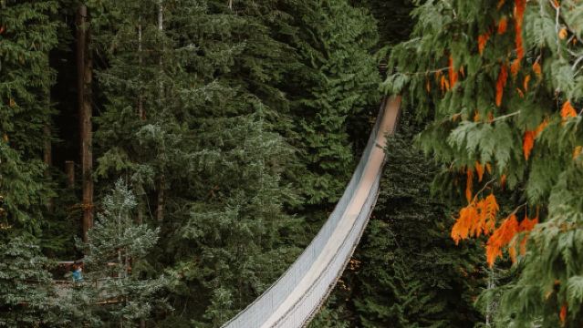 Lawatan sehari ke Taman Ratu Elizabeth Vancouver, Taman Jambatan Gantung Capilano dan Pantai Teluk English
