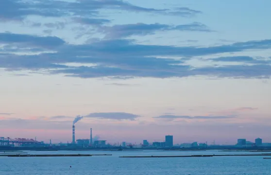 廣西欽州大蘆村+坭興陶博物館+蘇廷有舊居包車一日遊中英文服務