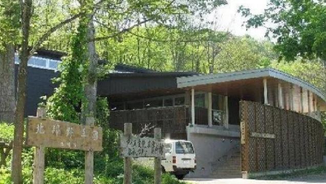 日本北海道+旭川動物園+白鬚瀑布一日遊/行程可調-可定制多日