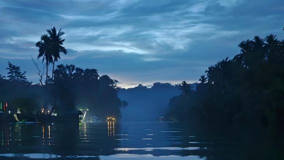 Bohol Island: A Nighttime Firefly Watching Tour | Round-trip transfers