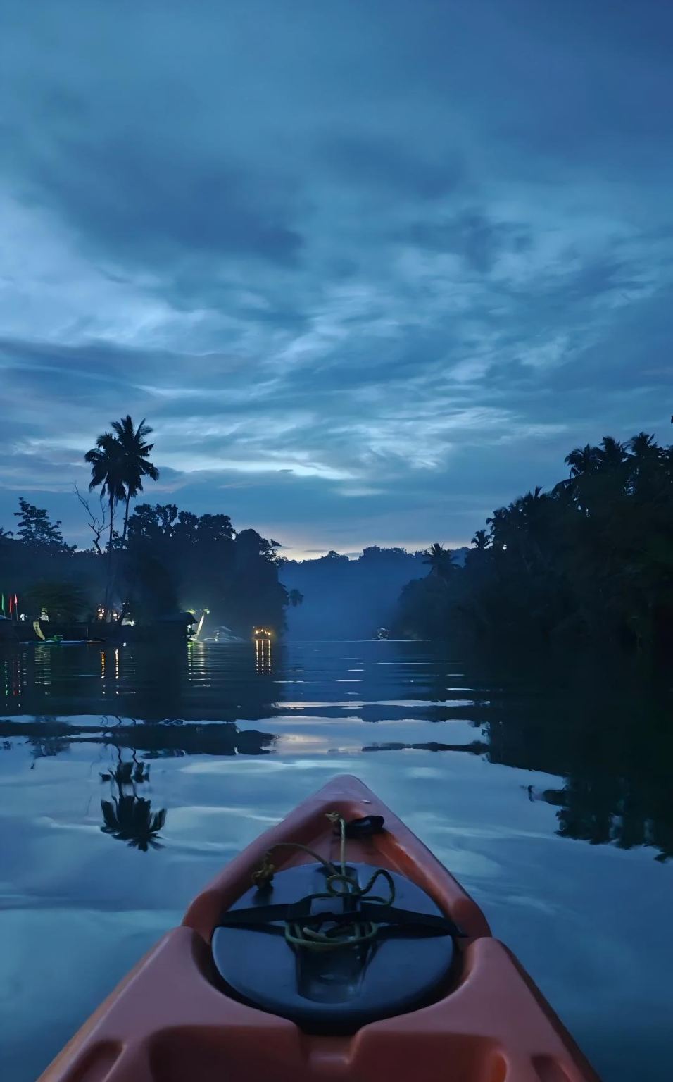 보홀 섬: 야간 반딧불이 관찰 투어 | 왕복 픽업 및 드롭오프