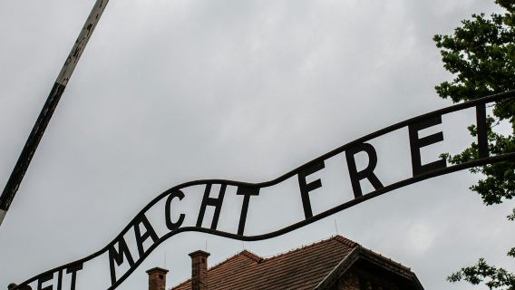 Auschwitz-Birkenau: Guided Tour + Private Transfer
