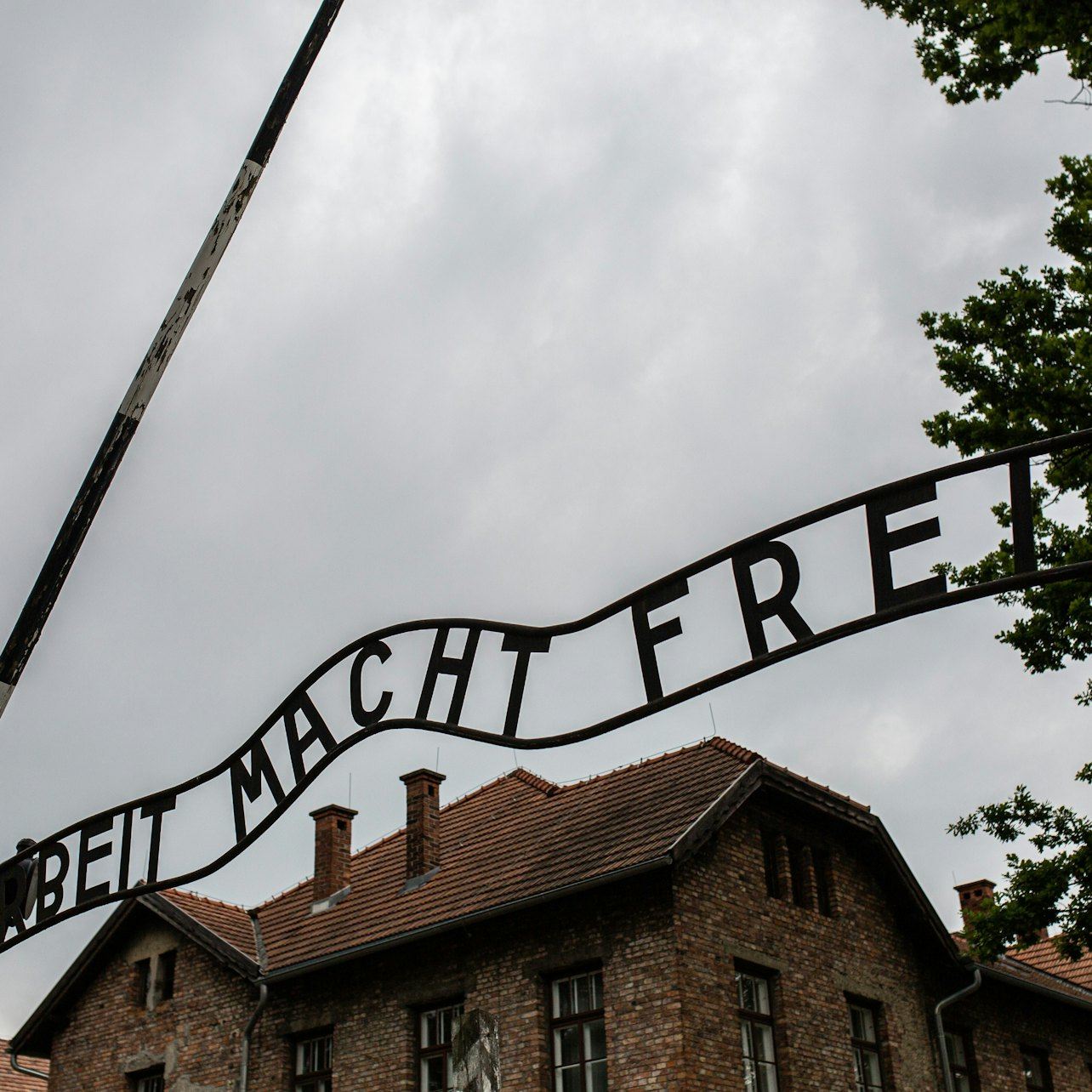 Auschwitz-Birkenau: visita guidata + trasferimento privato