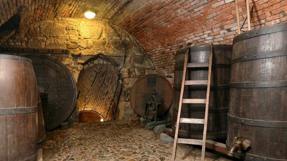 Pilsen: Pintu Masuk Muzium Kilang Bir dengan Segelas Bir