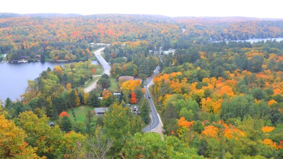 Excursión de un día con servicio de coche privado con conductor personalizado: Exploración en profundidad del Parque Algonquin — aventura en cascadas y bosques
