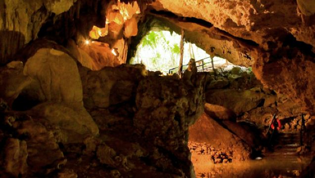 ATV Jungle Adventure