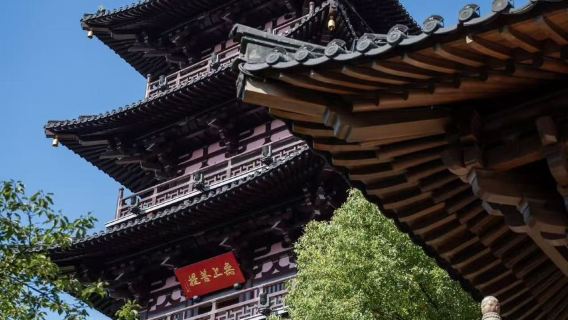 Private Small Group Tour (2-5 People) | Suzhou Travel: Classical Gardens & Water Towns