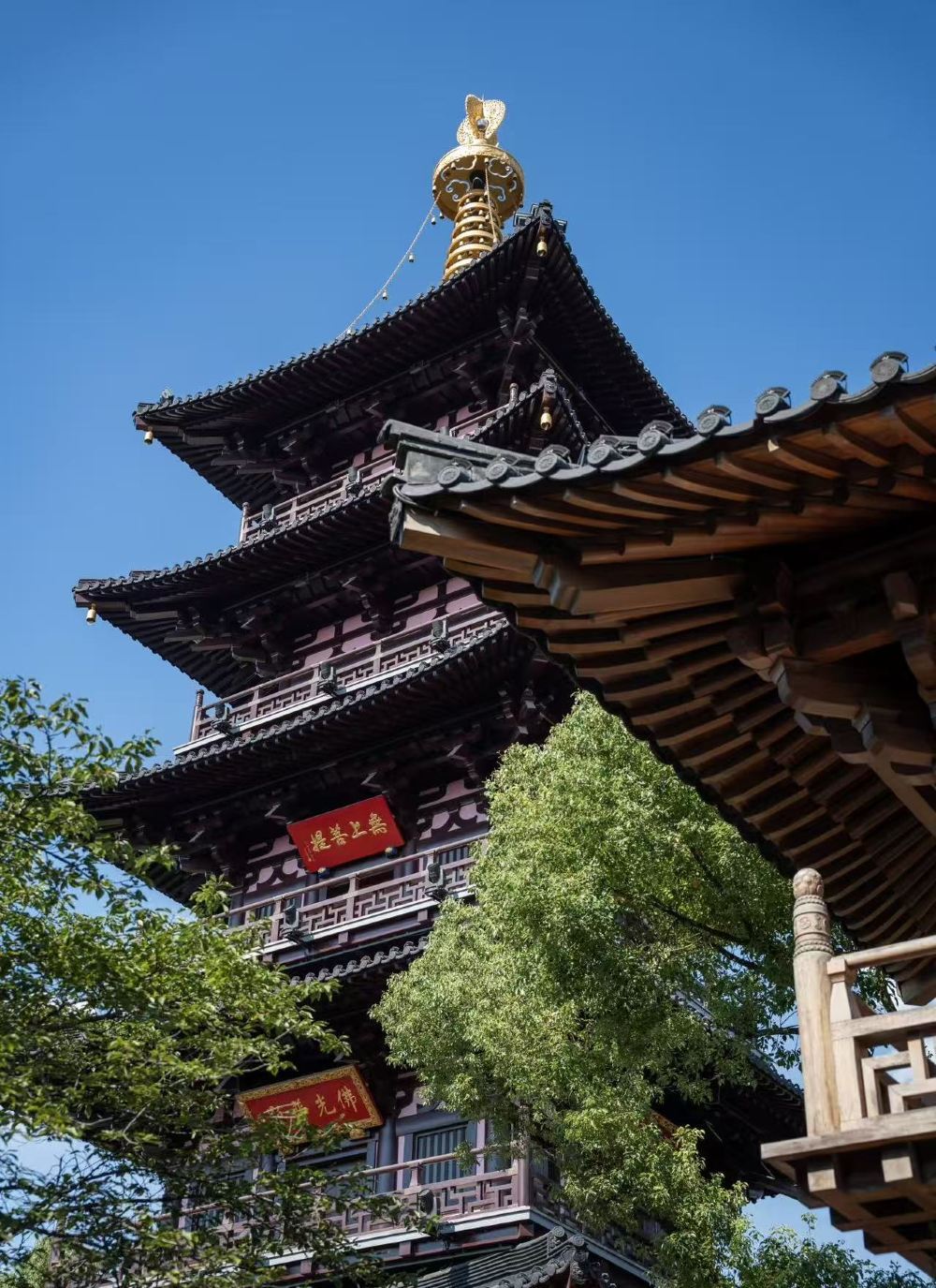 Tour privato per piccoli gruppi (2-5 persone)|Viaggio a Suzhou: Giardini Classici e Città d'Acqua