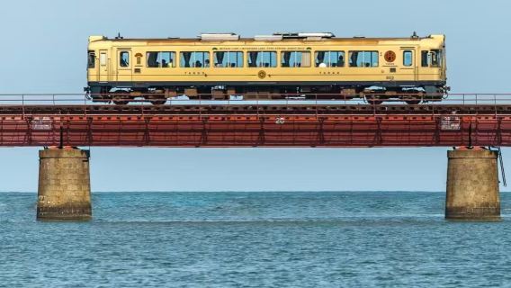 京都丹後海上列車+天橋立+伊根舟屋+遊船一日遊【中文導遊】