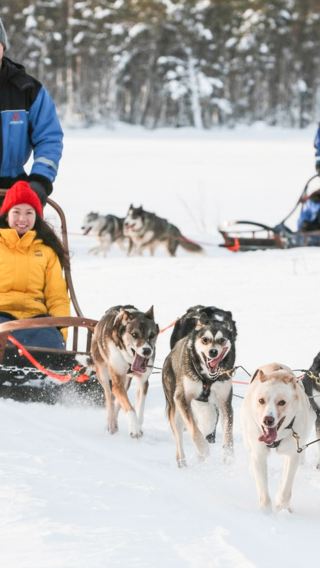 Departing from Levi, Finland: Dog Sledding Adventure