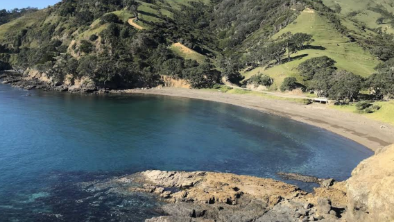 Auckland, New Zealand - Central Park - Auckland Art Gallery Day Tour [Chinese-Speaking Vehicle]