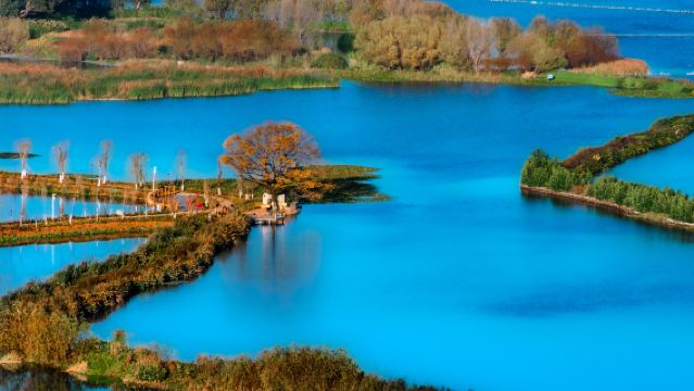 Частный однодневный тур в Каменный лес Куньмина + озеро Дяньчи [Обслуживание на нескольких языках]