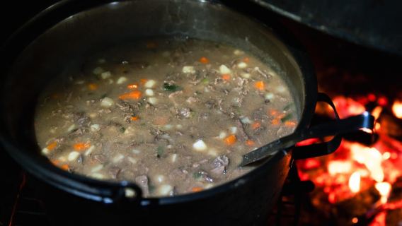 ทรอมเซอ: เลื่อนเลื่อนกวางเรนเดียร์ อาหารเย็น และโอกาสเห็นแสงเหนือ