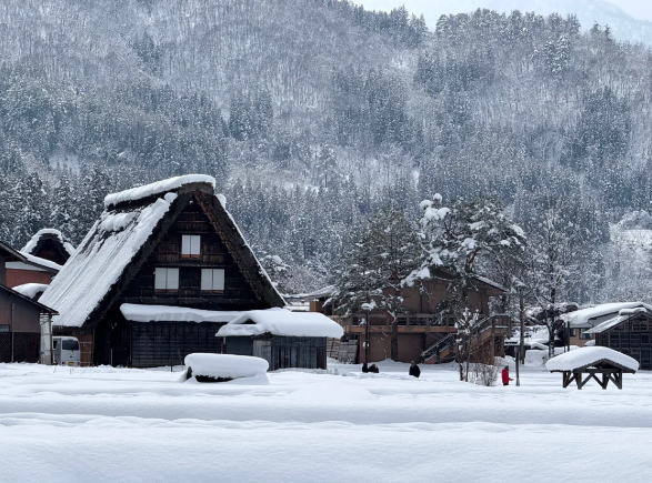日本白川鄉+荻町城跡展望台+合掌村和田家一日遊【中文專車】