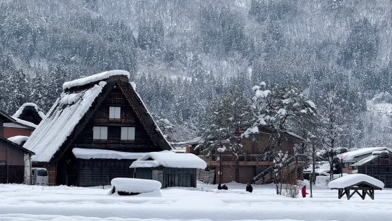日本白川鄉+荻町城跡觀景台+合掌村和田家一日遊【中文專車】