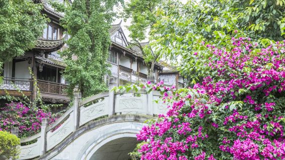Bandar Lama Ping Le Chengdu Sichuan + Laut Buluh Chuanxi lawatan sehari sewaan peribadi [tidak termasuk tiket masuk]
