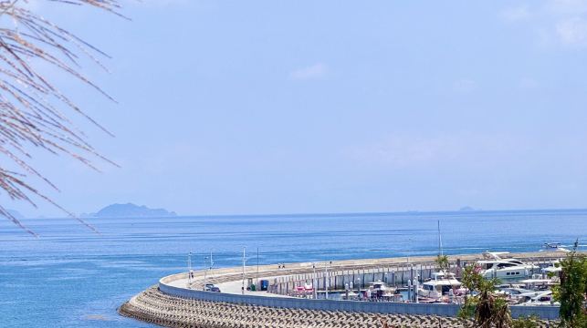 深圳桔釣沙+鹿嘴山莊+天文台+楊梅坑包車一日遊-可中英文服務